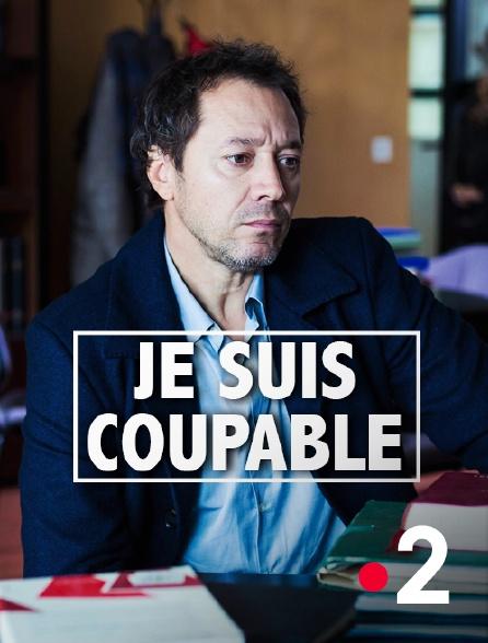 Я виновен / Je suis coupable (2017) 