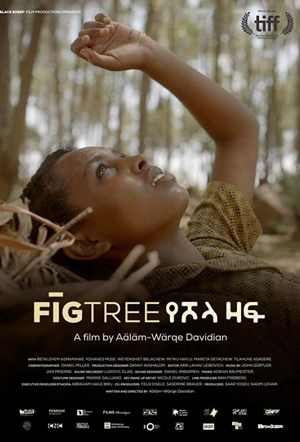 Инжир / Fig Tree (2018) 