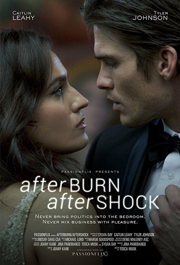 Страсть и покорение / Afterburn/Aftershock (2017) 