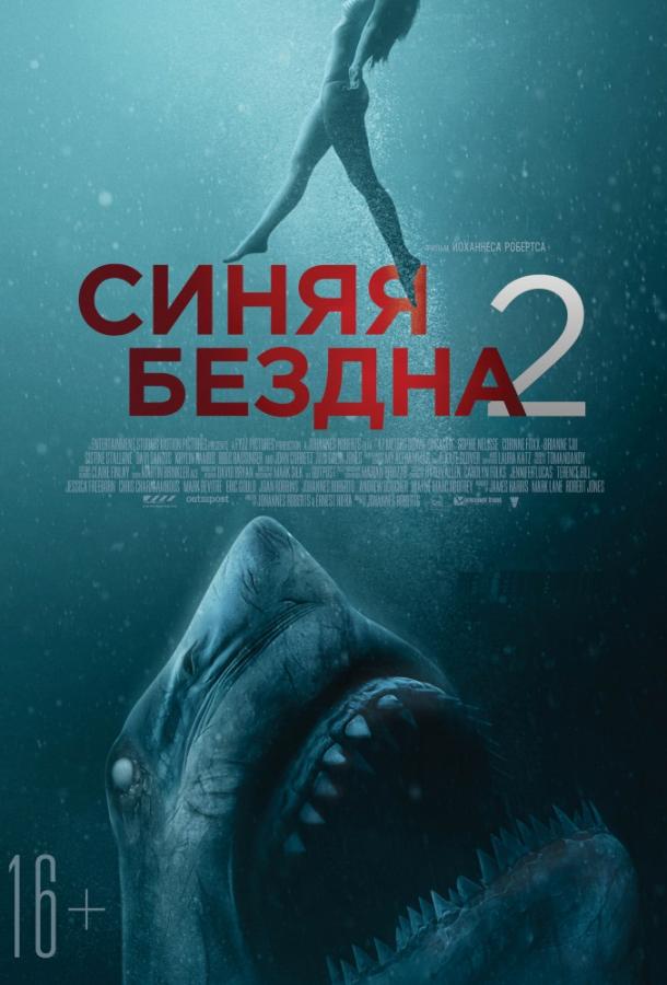 Синяя бездна 2 / 47 Meters Down: Uncaged (2019) 