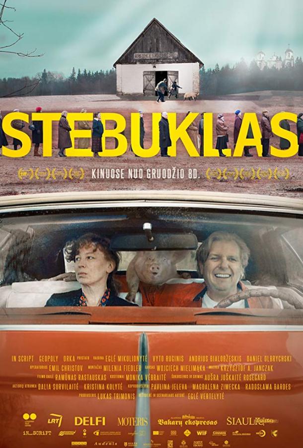 Чудо / Stebuklas (2017) 