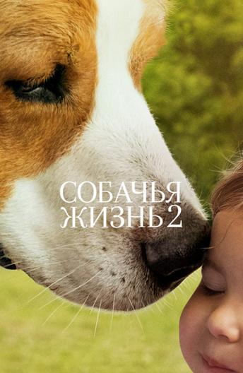 Собачья жизнь 2 / A Dog's Journey (2019) 