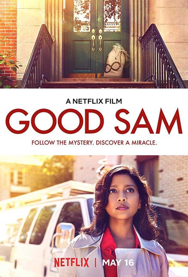 В поисках доброго самаритянина / Good Sam (2019) 