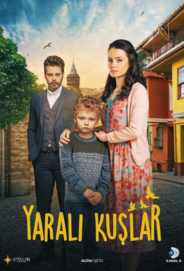 Раненые птицы / Yarali Kuslar (2019) 