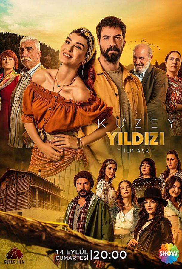 онлайн, без рекламы! Полярная звезда / Kuzey Yildizi (2019) 