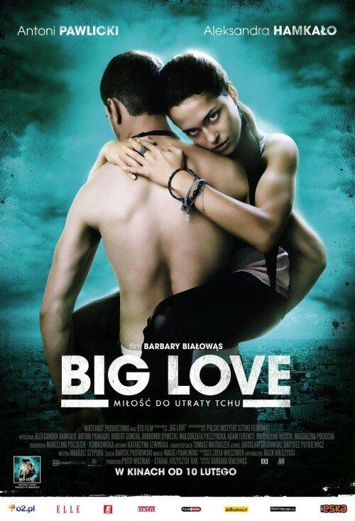 Большая любовь / Big Love (2012) 