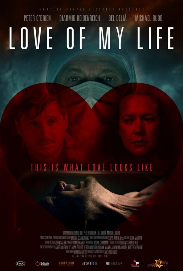 Любовь моей жизни / Love of my Life (2013) 