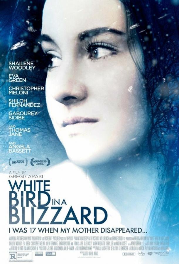 Белая птица в метели / White Bird in a Blizzard (2014) 