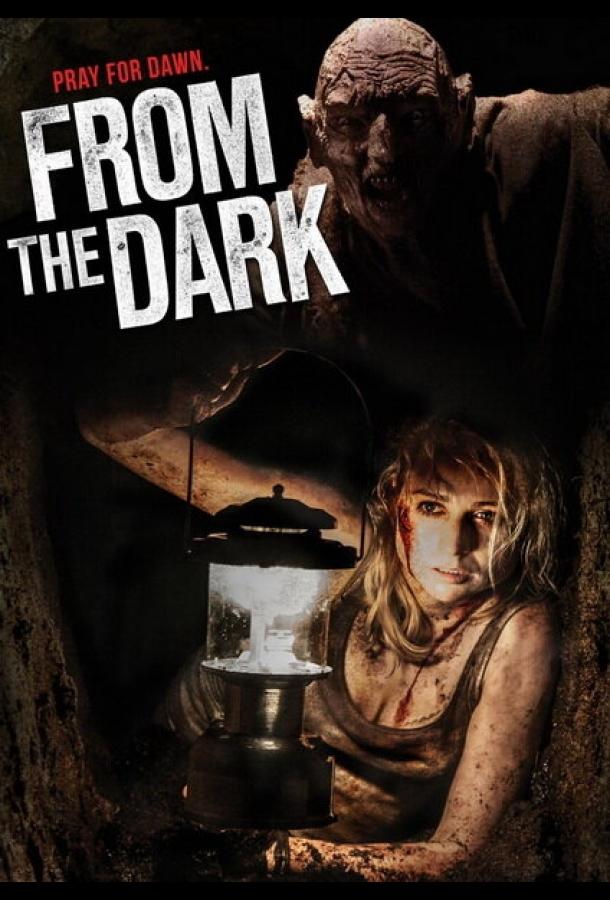 Из темноты / From the Dark (2014) 