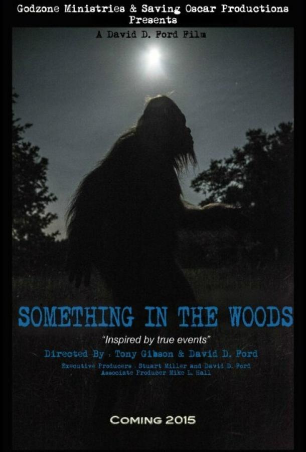 Нечто из леса / Something in the Woods (2016) 