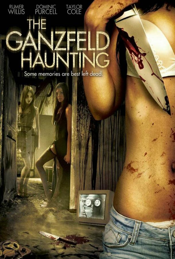 Эксперимент Ганцфельда / The Ganzfeld Haunting (2013) 