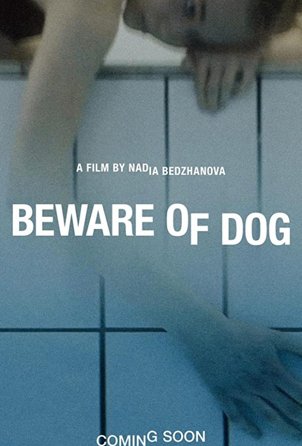 Beware of Dog (2020) 